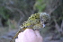  ( - BF01206)  @11 [ ] CreativeCommons - Attribution Share-Alike (2020) Jake M. Mulvaney Stellenbosch University