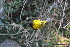  ( - CV66054)  @11 [ ] CreativeCommons - Attribution Share-Alike (2020) Jake M. Mulvaney Stellenbosch University