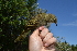  ( - FC00115)  @11 [ ] CreativeCommons - Attribution Share-Alike (2020) Jake M. Mulvaney Stellenbosch University
