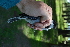  ( - FC00116)  @11 [ ] CreativeCommons - Attribution Share-Alike (2020) Jake M. Mulvaney Stellenbosch University
