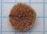  ( - CCDB-31598 G01)  @11 [ ] by-nc-sa (2021) Peter J. Bryant University of California, Irvine