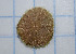  ( - CCDB-31598 G12)  @11 [ ] by-nc-sa (2021) Peter J. Bryant University of California, Irvine