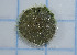  ( - CCDB-31598 H02)  @11 [ ] by-nc-sa (2021) Peter J. Bryant University of California, Irvine