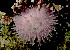  ( - CCDB-31778 H09)  @11 [ ] CreativeCommons - Attribution Non-Commercial Share-Alike (2018) Peter J. Bryant University of California, Irvine