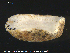  ( - ECHNO_69072)  @11 [ ] CreativeCommons - Attribution Non-Commercial Share-Alike (2015) NTNU University Museum, Department of Natural History NTNU University Museum, Department of Natural History