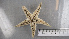  ( - ECHNO_69074)  @11 [ ] CreativeCommons - Attribution Non-Commercial Share-Alike (2015) NTNU University Museum, Department of Natural History NTNU University Museum, Department of Natural History
