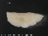  ( - ECHNO_69075)  @11 [ ] CreativeCommons - Attribution Non-Commercial Share-Alike (2015) NTNU University Museum, Department of Natural History NTNU University Museum, Department of Natural History
