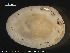  ( - ECHNO_69076)  @11 [ ] CreativeCommons - Attribution Non-Commercial Share-Alike (2015) NTNU University Museum, Department of Natural History NTNU University Museum, Department of Natural History