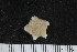  ( - ZMBN_106249)  @11 [ ] CreativeCommons - Attribution Non-Commercial Share-Alike (2016) University of Bergen Natural History Collections