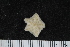  ( - ZMBN_106249)  @11 [ ] CreativeCommons - Attribution Non-Commercial Share-Alike (2016) University of Bergen Natural History Collections