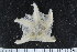  ( - ZMBN_106257)  @11 [ ] CreativeCommons - Attribution Non-Commercial Share-Alike (2016) University of Bergen Natural History Collections
