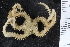  ( - ZMBN_107468)  @11 [ ] CreativeCommons - Attribution Non-Commercial Share-Alike (2018) University of Bergen Natural History Collections