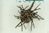  ( - ZMBN_116589)  @11 [ ] CreativeCommons - Attribution Non-Commercial Share-Alike (2017) University of Bergen Natural History Collections