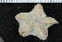  ( - ZMBN_116629)  @11 [ ] CreativeCommons - Attribution Non-Commercial Share-Alike (2017) University of Bergen Natural History Collections