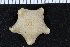  ( - ZMBN_116664)  @11 [ ] CreativeCommons - Attribution Non-Commercial Share-Alike (2017) University of Bergen Natural History Collections