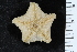  ( - ZMBN_116664)  @11 [ ] CreativeCommons - Attribution Non-Commercial Share-Alike (2017) University of Bergen Natural History Collections
