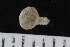 ( - ZMBN_120544)  @11 [ ] CreativeCommons - Attribution Non-Commercial Share-Alike (2018) University of Bergen Natural History Collections