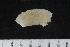  ( - ZMBN_120558)  @11 [ ] CreativeCommons - Attribution Non-Commercial Share-Alike (2018) University of Bergen Natural History Collections