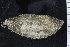  ( - ZMBN_120573)  @11 [ ] CreativeCommons - Attribution Non-Commercial Share-Alike (2018) University of Bergen Natural History Collections