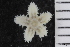  ( - ZMBN_126429)  @11 [ ] CreativeCommons - Attribution Non-Commercial Share-Alike (2019) University of Bergen Natural History Collections