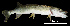  ( - 21_BM19)  @11 [ ] CreativeCommons  Attribution Non-Commercial Share-Alike  (2012) Marco Casu Dipartimento di Scienze della Natura e del Territorio - University of Sassari (Italy)