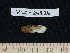  ( - HLC-24826)  @11 [ ] CreativeCommons - Attribution (2010) Unspecified Centre for Biodiversity Genomics