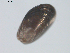  ( - 11ECMOL-0113)  @13 [ ] CreativeCommons - Attribution  Unspecified Centre for Biodiversity Genomics