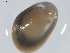  ( - 11ECMOL-0125)  @13 [ ] CreativeCommons - Attribution  Unspecified Centre for Biodiversity Genomics