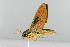  ( - Ec-Sph0041)  @11 [ ] CreativeCommons - Attribution Non-Commercial Share-Alike (2019) University of Vienna University of Vienna