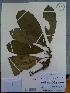  ( - AP-10609)  @11 [ ] Copyright (2027) Unspecified Columbus State University