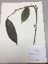  ( - RLJ-11019)  @11 [ ] Copyright (2017) Unspecified Columbus State University