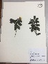  ( - RLJ-11072)  @11 [ ] Copyright (2017) Unspecified Columbus State University