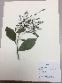  ( - RLJ-11131)  @11 [ ] Copyright (2017) Unspecified Columbus State University