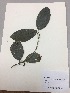  ( - RLJ-11164)  @11 [ ] Copyright (2017) Unspecified Columbus State University