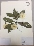  ( - RLJ-11170)  @11 [ ] Copyright (2017) Unspecified Columbus State University