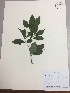  ( - RLJ-11189)  @11 [ ] Copyright (2017) Unspecified Columbus State University