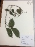  ( - RLJ-11219)  @11 [ ] Copyright (2017) Unspecified Columbus State University