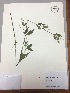  ( - RLJ-11326)  @11 [ ] Copyright (2017) Unspecified Columbus State University