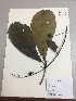  ( - RLJ-11347)  @11 [ ] Copyright (2017) Unspecified Columbus State University