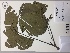  (Euplassa - AP-9128)  @11 [ ] Copyright (2016) Unspecified Columbus State University