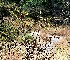  ( - Aca2)  @11 [ ] CreativeCommons-Atribution Non-commercial Share -Alike (2019) Rafael F. del Castillo Instituto Politécnico Nacional