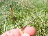 ( - EDNA23-0064819)  @11 [ ] CreativeCommons Attribution NonCommercial ShareAlike (2023) Andy Griffiths Royal Botanic Garden, Edinburgh