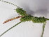  ( - EDNA23-0064819)  @11 [ ] CreativeCommons Attribution NonCommercial ShareAlike (2023) Andy Griffiths Royal Botanic Garden, Edinburgh