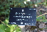  ( - EDNA21-0061135)  @11 [ ] CreativeCommons Attribution NonCommercial ShareAlike (2021) Markus Ruhsam Royal Botanic Garden, Edinburgh