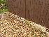  ( - EDNA23-0064140)  @11 [ ] NonCommercial ShareAlike (2023) Rebecca Yahr Royal Botanic Garden Edinburgh