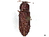  ( - BIOUG80123-B02)  @11 [ ] CreativeCommons - Attribution (2022) CBG Photography Group Centre for Biodiversity Genomics