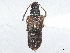  ( - BIOUG80123-D09)  @11 [ ] CreativeCommons - Attribution (2022) CBG Photography Group Centre for Biodiversity Genomics
