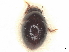  ( - BIOUG80123-H01)  @11 [ ] CreativeCommons - Attribution (2022) CBG Photography Group Centre for Biodiversity Genomics