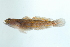  ( - BPS-2262)  @11 [ ] Copyright (2012) Samuel P. Iglesias Unspecified