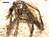  ( - MACN-Bar-Ins-ct 03464)  @12 [ ] Copyright (2012) MACN MACN